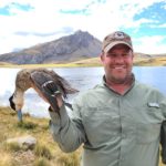 Puna Teal in Peru