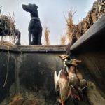 Ramsey Russell California Duck Hunting