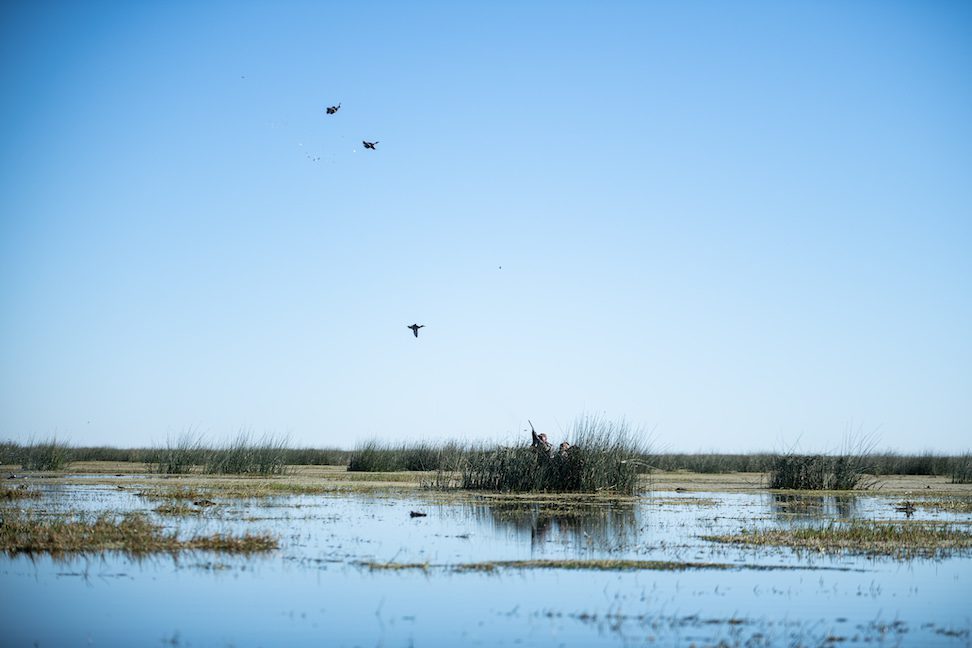 Triples Rio Salado Duck Hunt Argentina