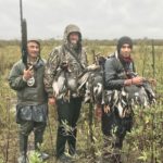 duck species argentina duck hunt
