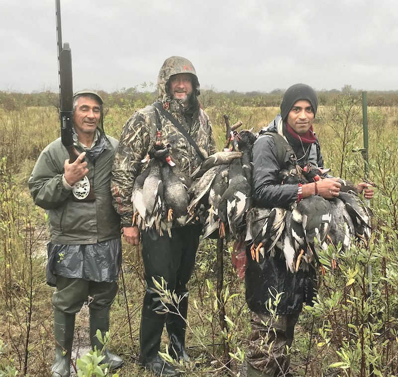 duck species argentina duck hunt