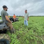 Terry Denmon Waterfowl Habitat