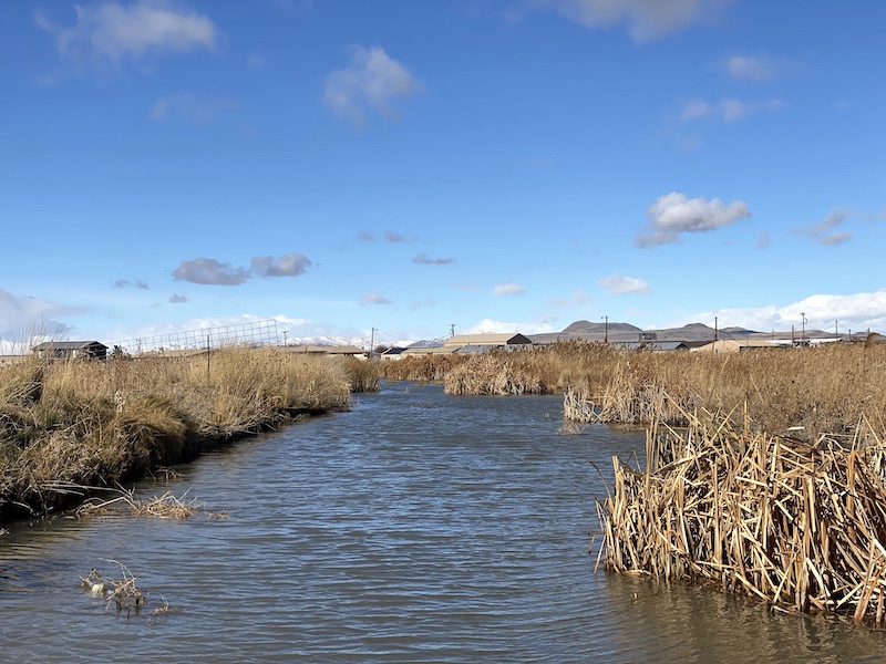 Rudy Duck Club Utah Hunting Ramsey Russell's