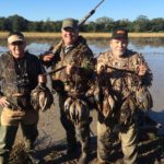 blue winged teal hunting texas
