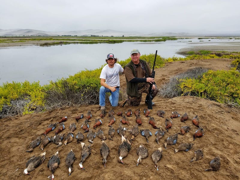 coastal duck hunt in peru