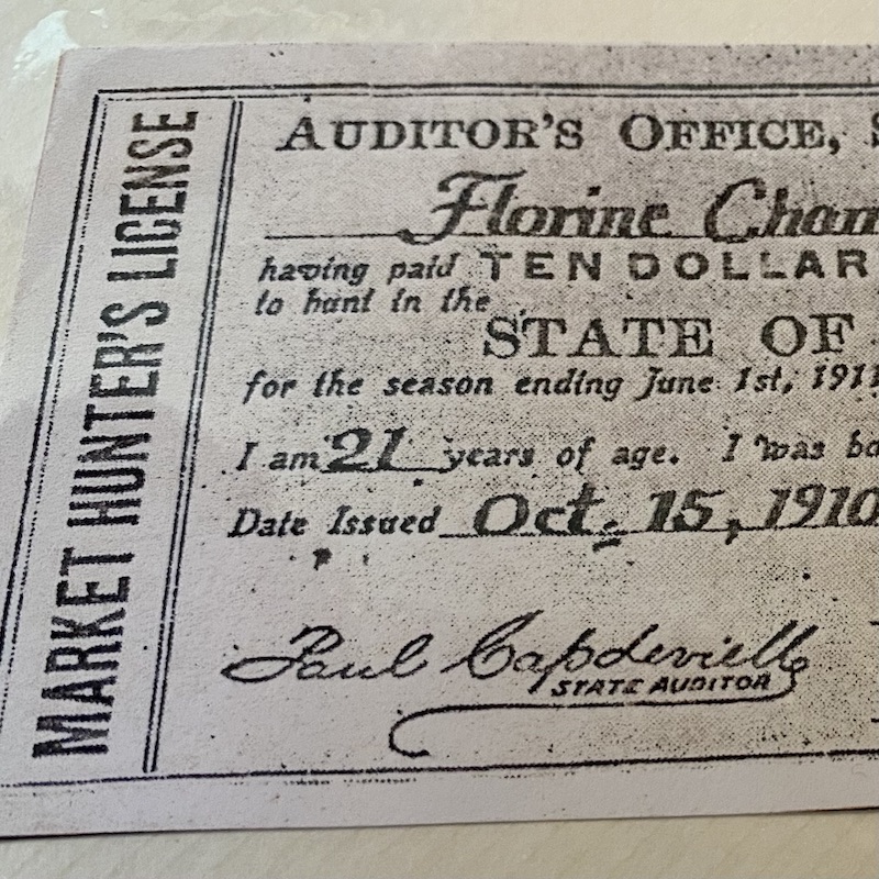 louisiana market hunting license