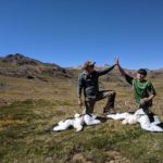 peru andean goose hunt