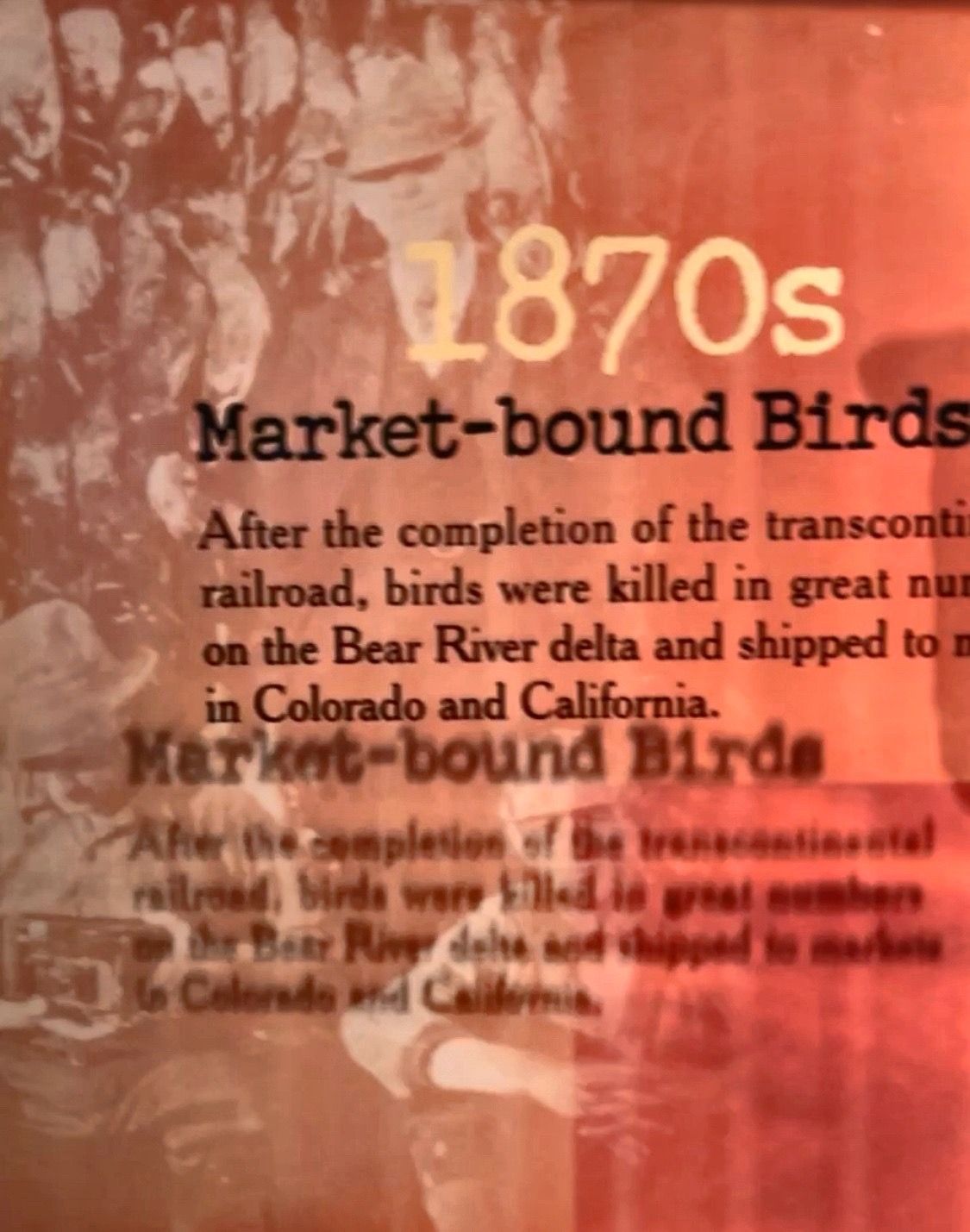 Utah Duck Hunting 1870s Ramsey Russell's