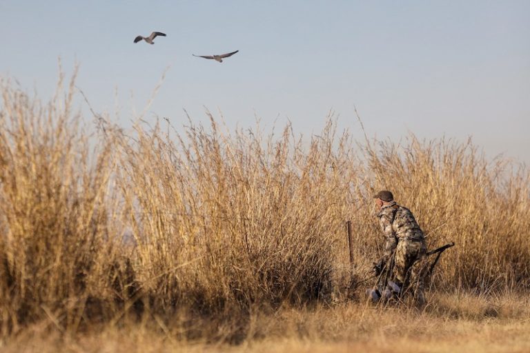 South Africa Duck Hunting Gamebird Hunt Best Hunts