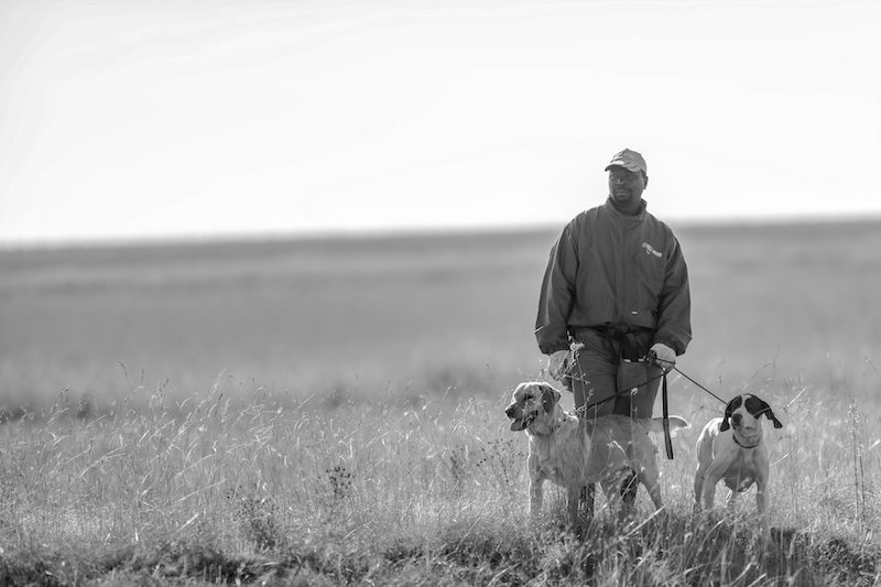 bird hunting in south africa