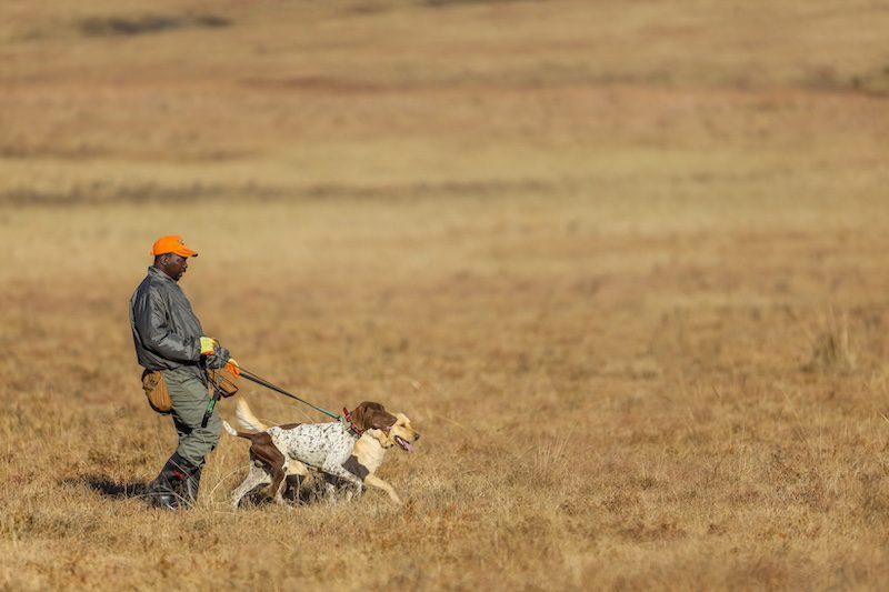 bird hunting locations south africa