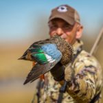 where to hunt cape shoveler south africa