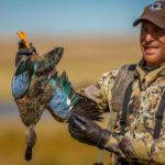 hunting cape shoveler south africa