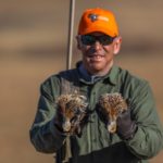 grey francolin hunting south africa