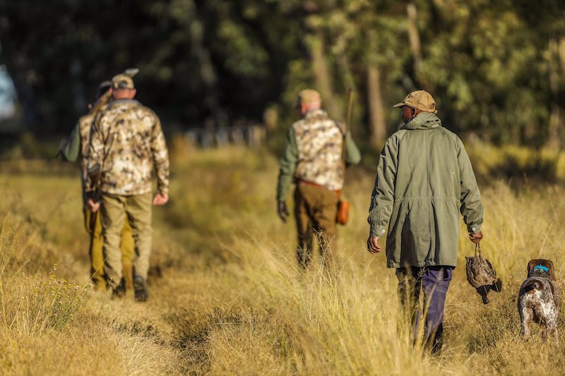 south africa bird hunts