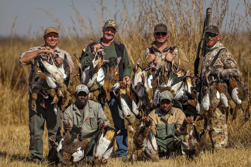 south africa duck hunt combo for egyptian geese Ramsey Russell's