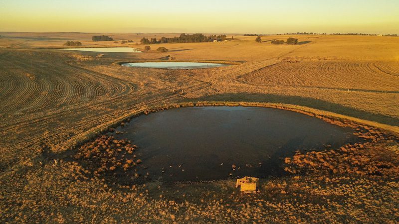 duck and goose hunting south africa