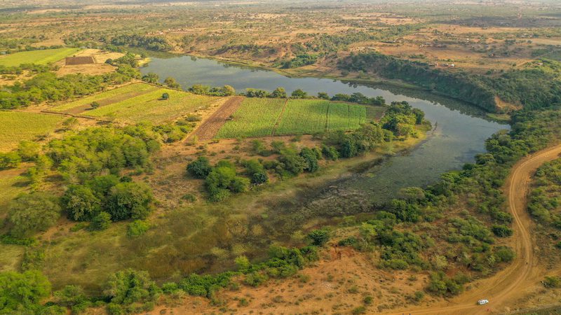 duck hunting habitat south africa