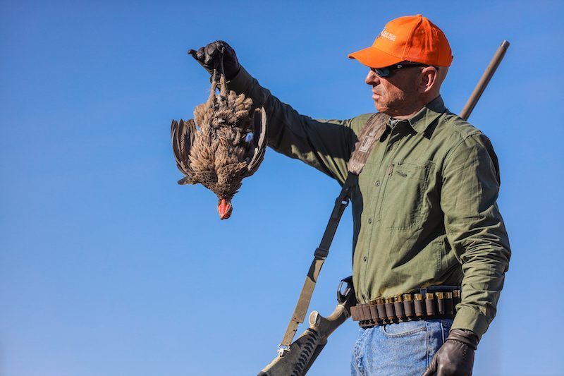 south africa wingshooting