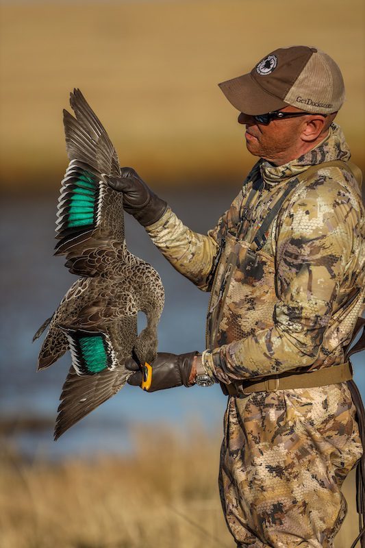 yellow billed duck hunting south africa