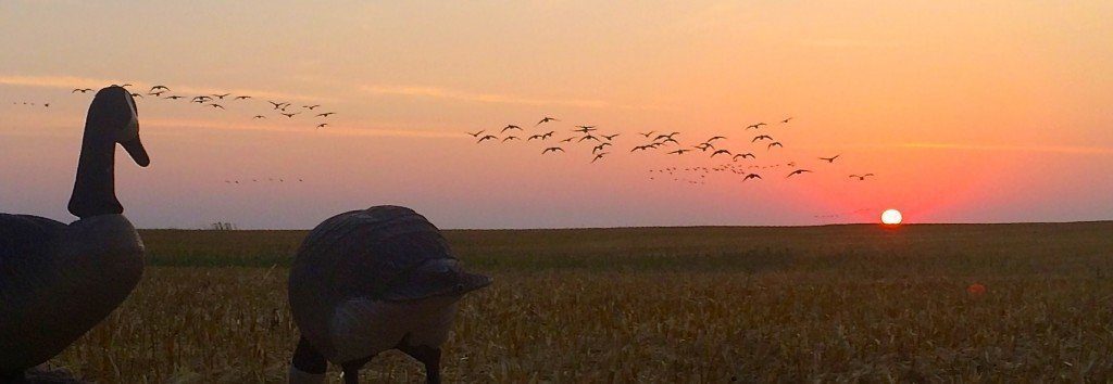 best North Dakota guided waterfowl hunting
