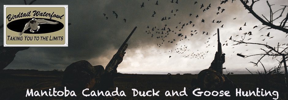 Manitoba Canada Duck and Goose Hunting