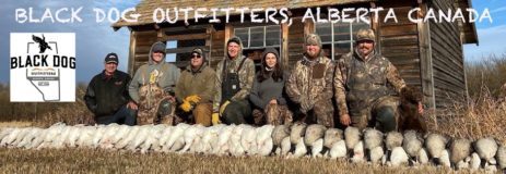 Alberta Canada Duck and Goose Hunting