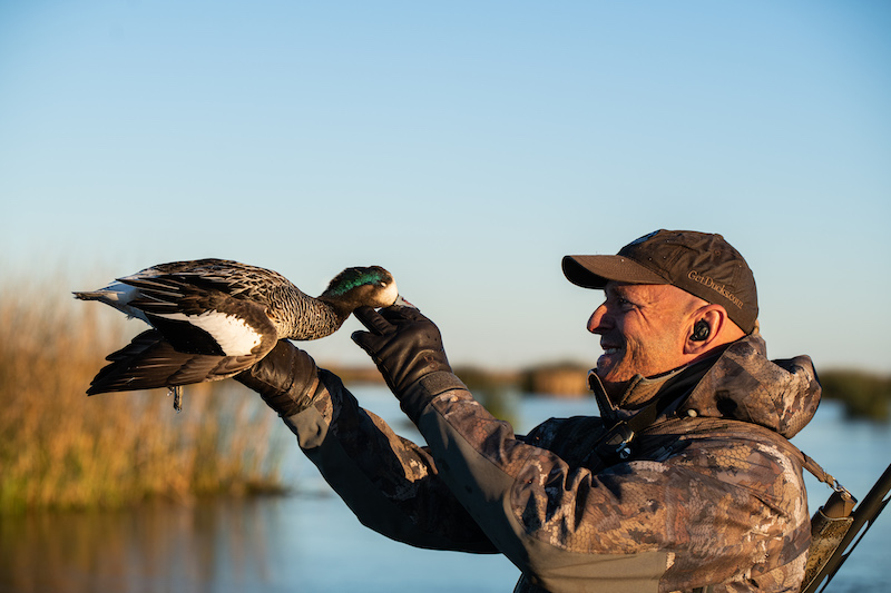 Chiloe Wigeon