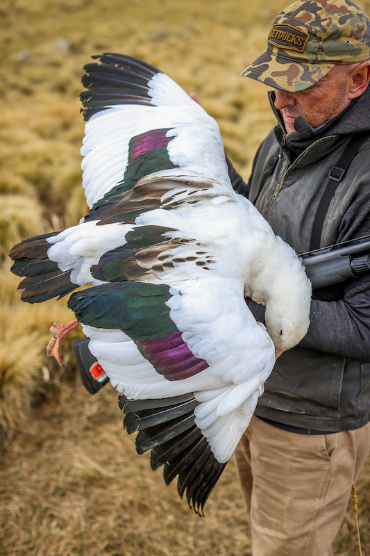 Foremost Worldwide Duck Hunting | Best Duck Hunts | GetDucks.com |