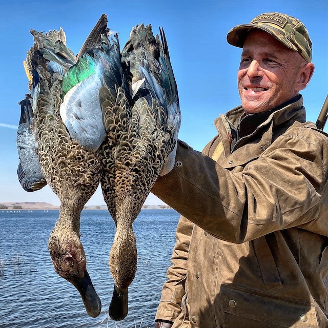 cape shoveler