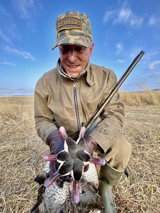 red billed teal