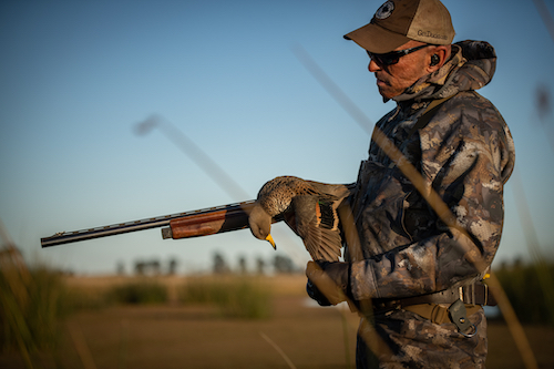 speckled teal argentina