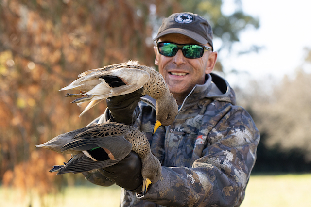 speckled teal