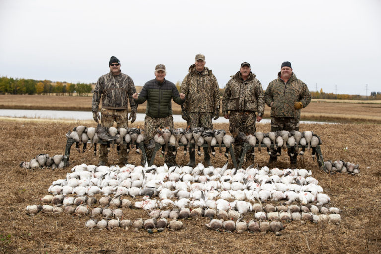 Saskatchewan Canada Waterfowl Hunts Prairie Limits Outfitters