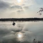 azerbaijan duck hunting
