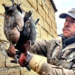 azerbaijan duck hunting