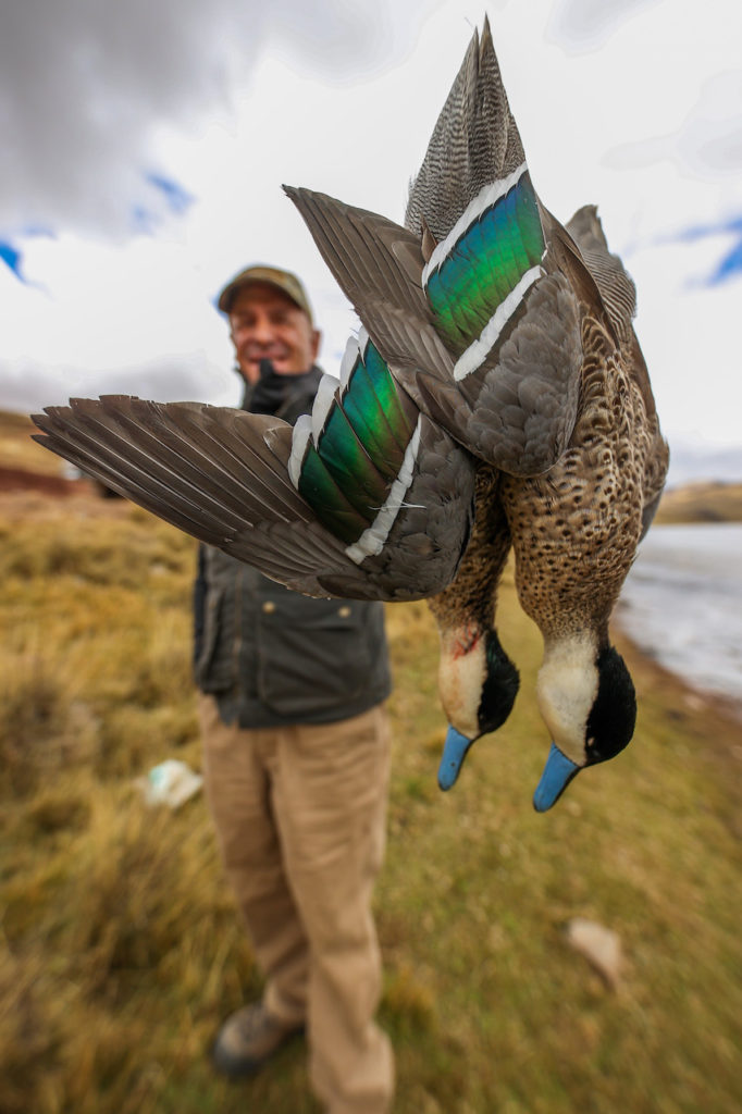 Puna Teal