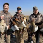 South Africa Waterfowl Hunting
