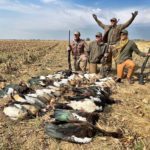 SOUTH AFRICA GOOSE HUNTS