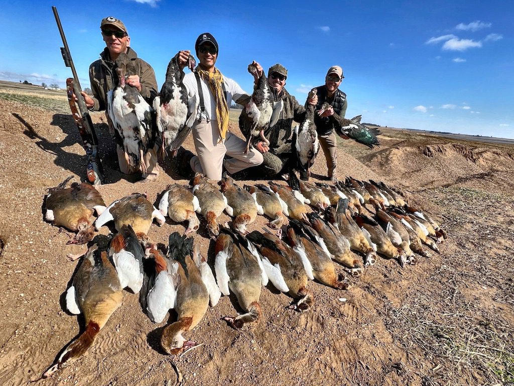 SOUTH AFRICA GOOSE HUNT