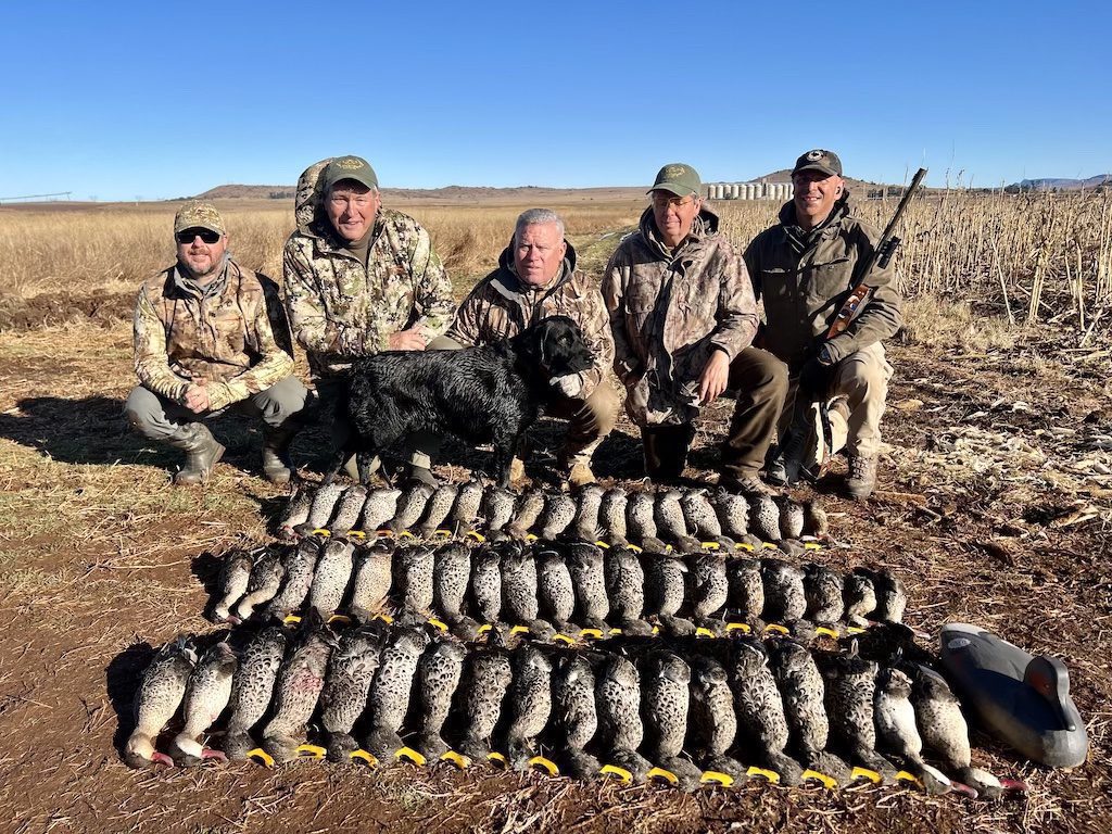 SOUTH AFRICA DUCK HUNT