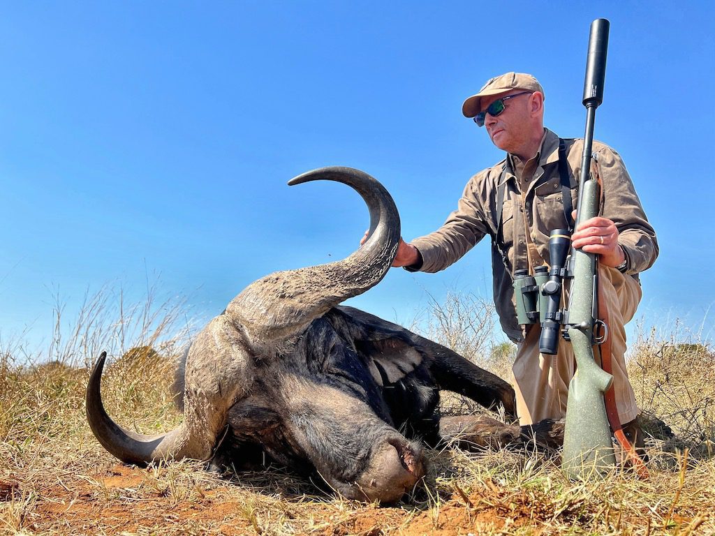 SOUTH AFRICA CAPE BUFFALO