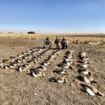 South Africa Goose Hunting