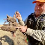 South Africa francolin Hunt