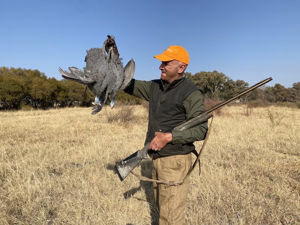 South Africa upland Hunt