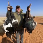 South Africa spur winged goose Hunts