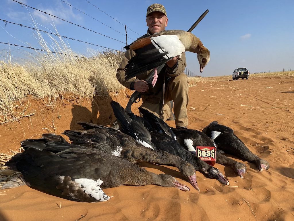 South Africa spur winged goose hunt