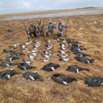 South Africa goose Hunt