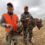 South Africa francolin Hunt