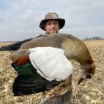 South Africa Egyptian goose Hunt